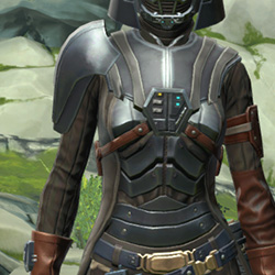 Distinguished Warden's Armor Set armor thumbnail.