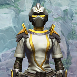 Dynamic Paladin's Armor Set armor thumbnail.