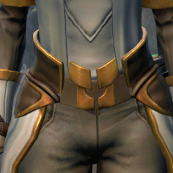 Temple Guardian Armor Set armor thumbnail.