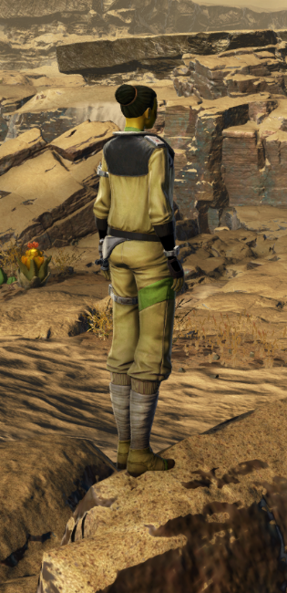 G.A.M.E Security Armor Set player-view from Star Wars: The Old Republic.
