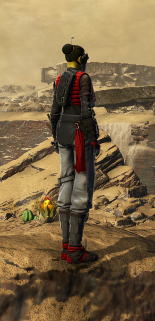 Cartel Prospect Armor Set player-view from Star Wars: The Old Republic.