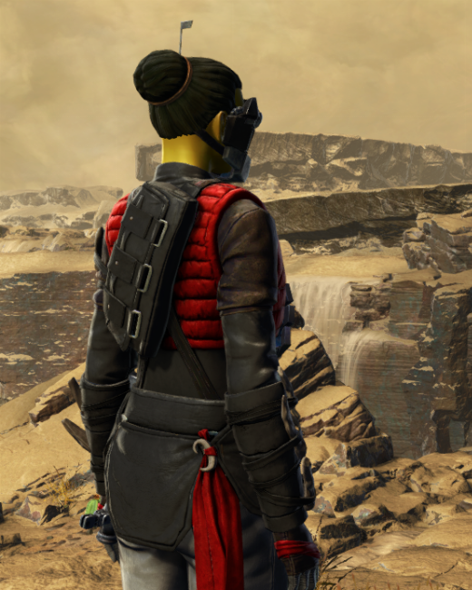 Cartel Prospect Armor Set Back from Star Wars: The Old Republic.