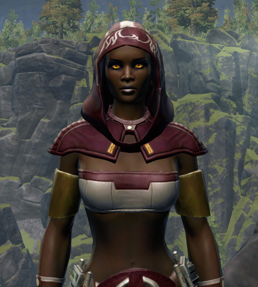 Able Hunter Armor Set from Star Wars: The Old Republic.