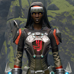 Agile Sentinel's Armor Set armor thumbnail.