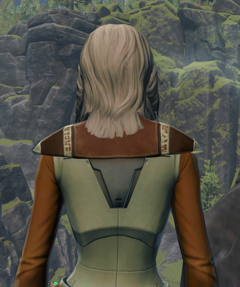Armored Diplomat Armor Set detailed back view from Star Wars: The Old Republic.