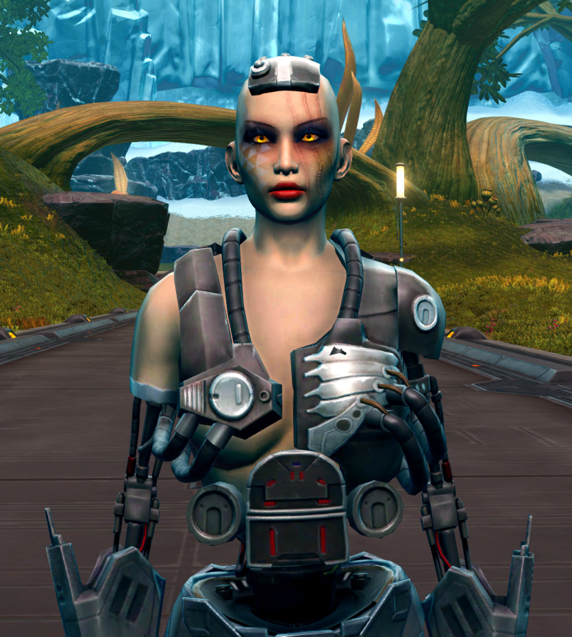 B-300 Cybernetic Armor Set from Star Wars: The Old Republic.