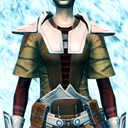 Devout Overseer Armor Set armor thumbnail.