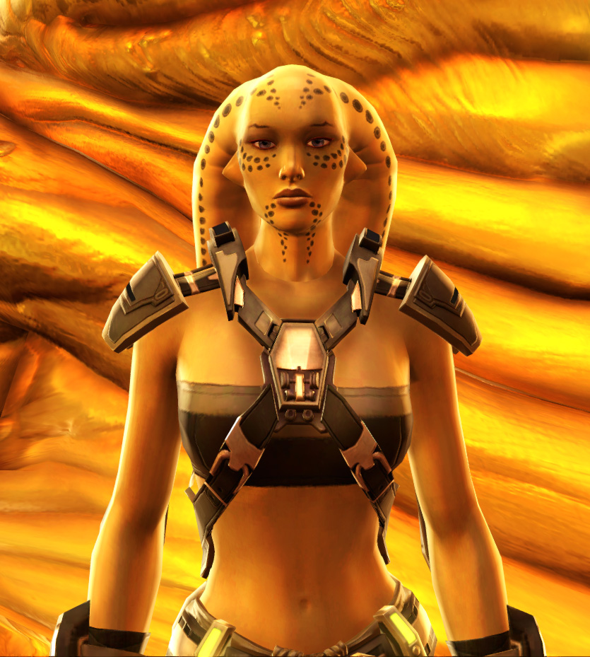 Expert Fighter Armor Set from Star Wars: The Old Republic.