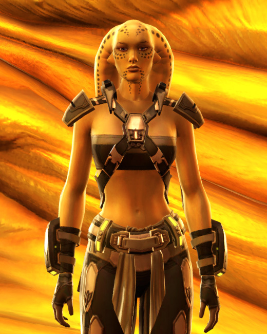 Expert Fighter Armor Set Preview from Star Wars: The Old Republic.