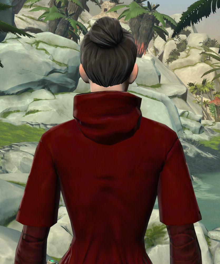 Festive Life Day Robes Armor Set detailed back view from Star Wars: The Old Republic.