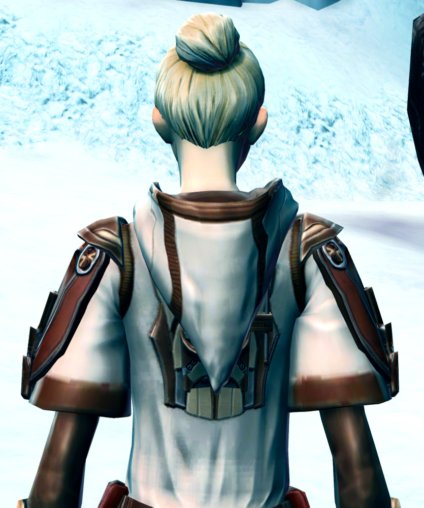 Force Champion Armor Set detailed back view from Star Wars: The Old Republic.