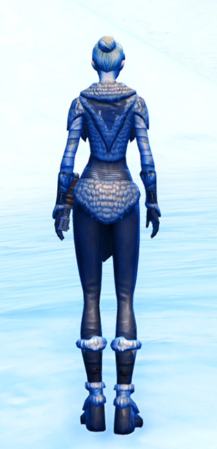 Hailstorm Brotherhood Armor Set player-view from Star Wars: The Old Republic.