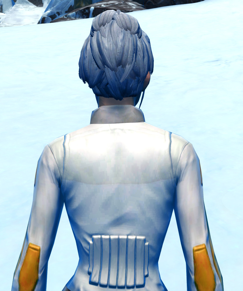 Hardened Plastifold Armor Set detailed back view from Star Wars: The Old Republic.