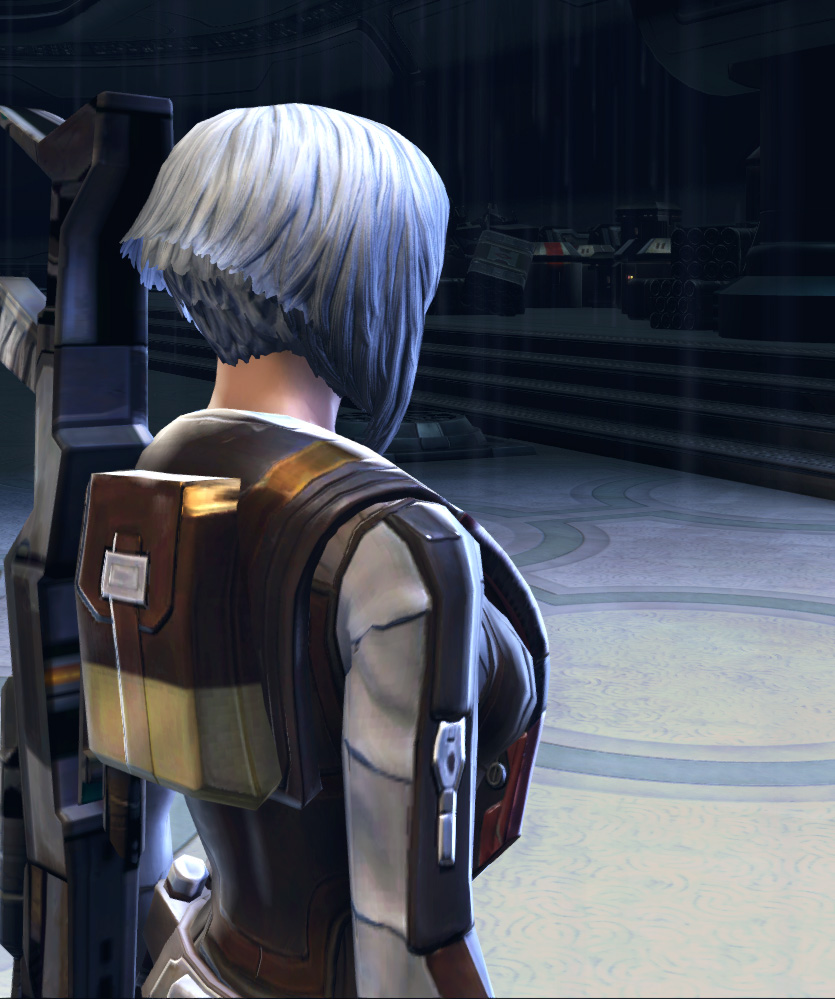 Mantellian Smuggler Armor Set detailed back view from Star Wars: The Old Republic.