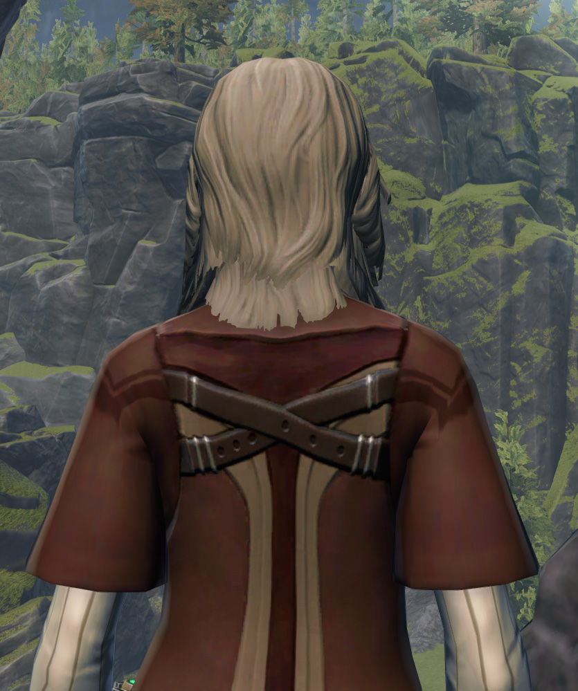 Omenbringer Armor Set detailed back view from Star Wars: The Old Republic.
