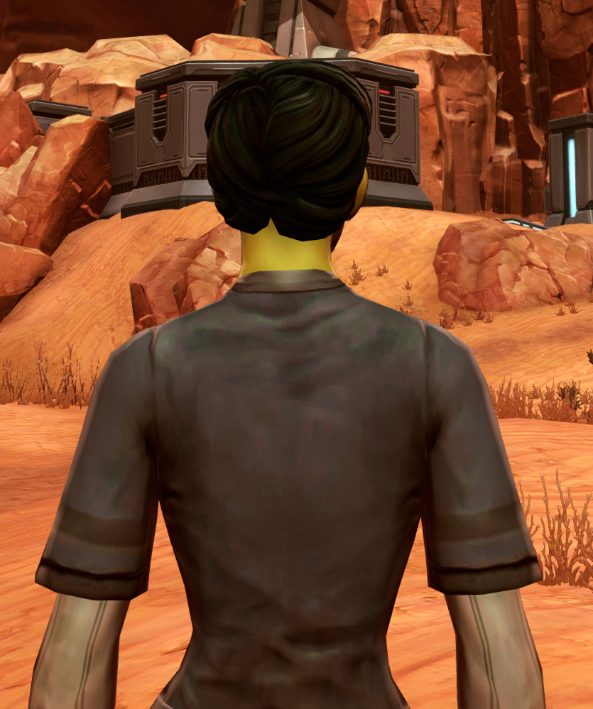 Padded Armor Set detailed back view from Star Wars: The Old Republic.
