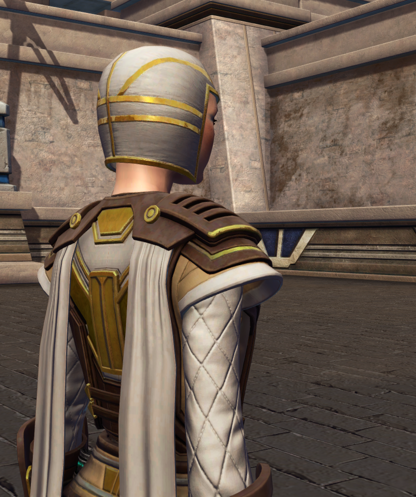 Patient Defender (no hood) Armor Set detailed back view from Star Wars: The Old Republic.