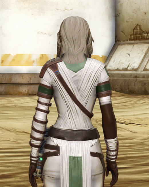 Pragmatic Master Armor Set Back from Star Wars: The Old Republic.