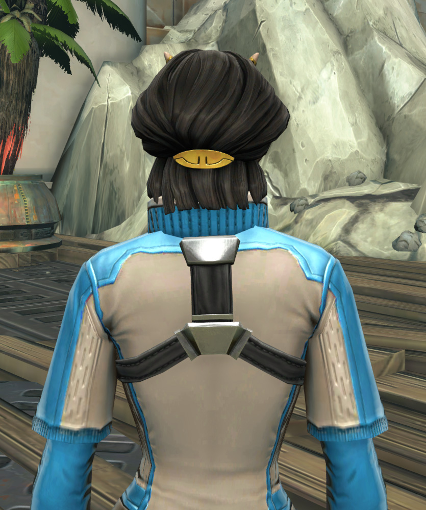 Republic Practice Jersey Armor Set detailed back view from Star Wars: The Old Republic.