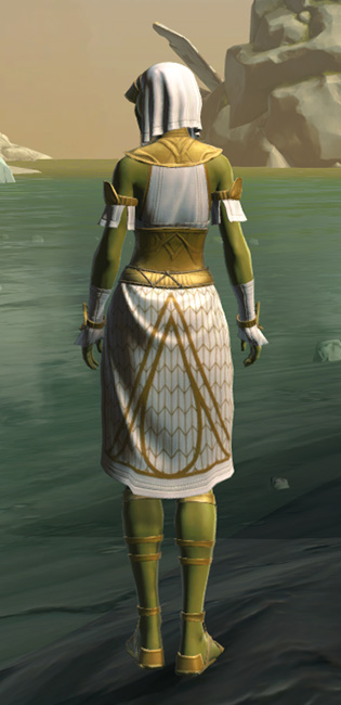 Resort Swimwear Armor Set player-view from Star Wars: The Old Republic.