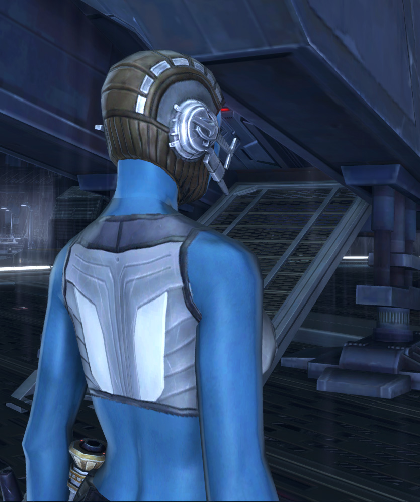 Tatooinian Warrior Armor Set detailed back view from Star Wars: The Old Republic.