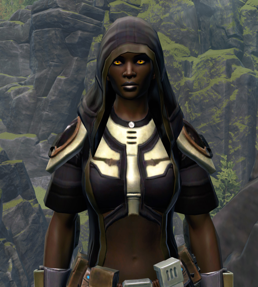 Unburdened Champion Armor Set from Star Wars: The Old Republic.