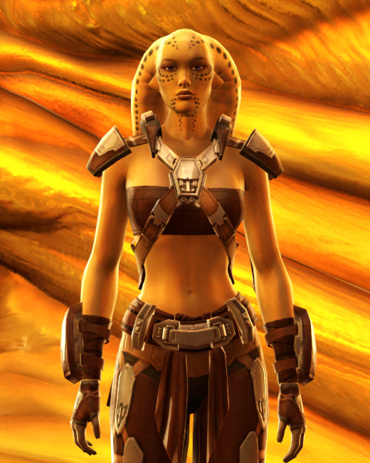 Vintage Brawler Armor Set Preview from Star Wars: The Old Republic.