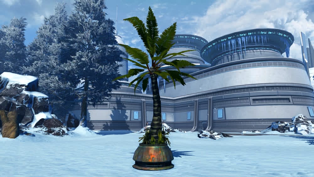 Potted Tree: Breezy Palm