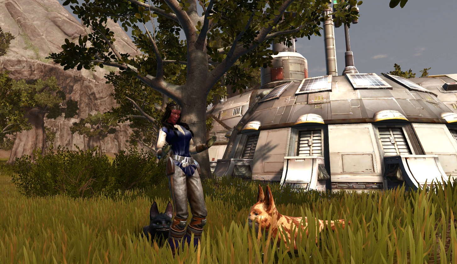 Emote: OMG. Pet: Black Loth-Cat. Friendly NPC - Loth-cat Kitten. Location: Biba Groves, Dantooine