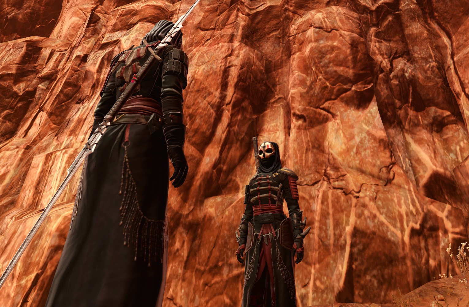Companion is on the left, back-view of outfit.